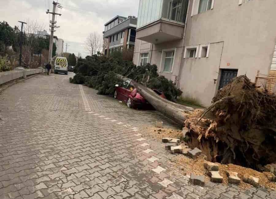 Yalova'da etkili olan fırtına, şehirde yaşamı olumsuz etkiledi; birçok çatı