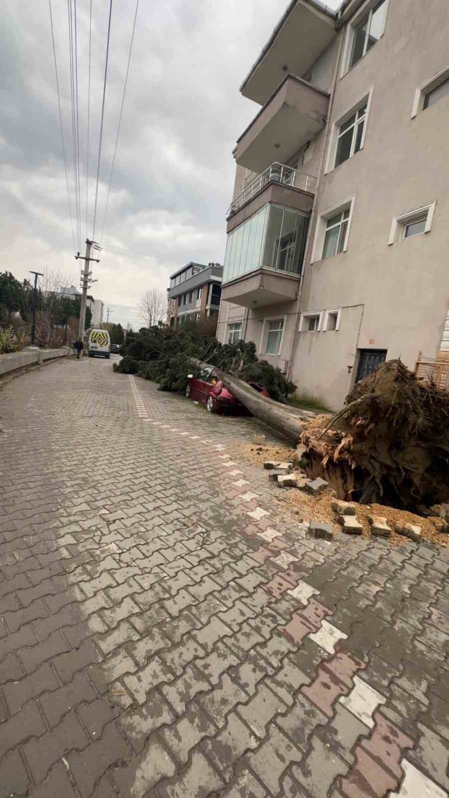 Yalova'da etkili olan fırtına, şehirde yaşamı olumsuz etkiledi; birçok çatı