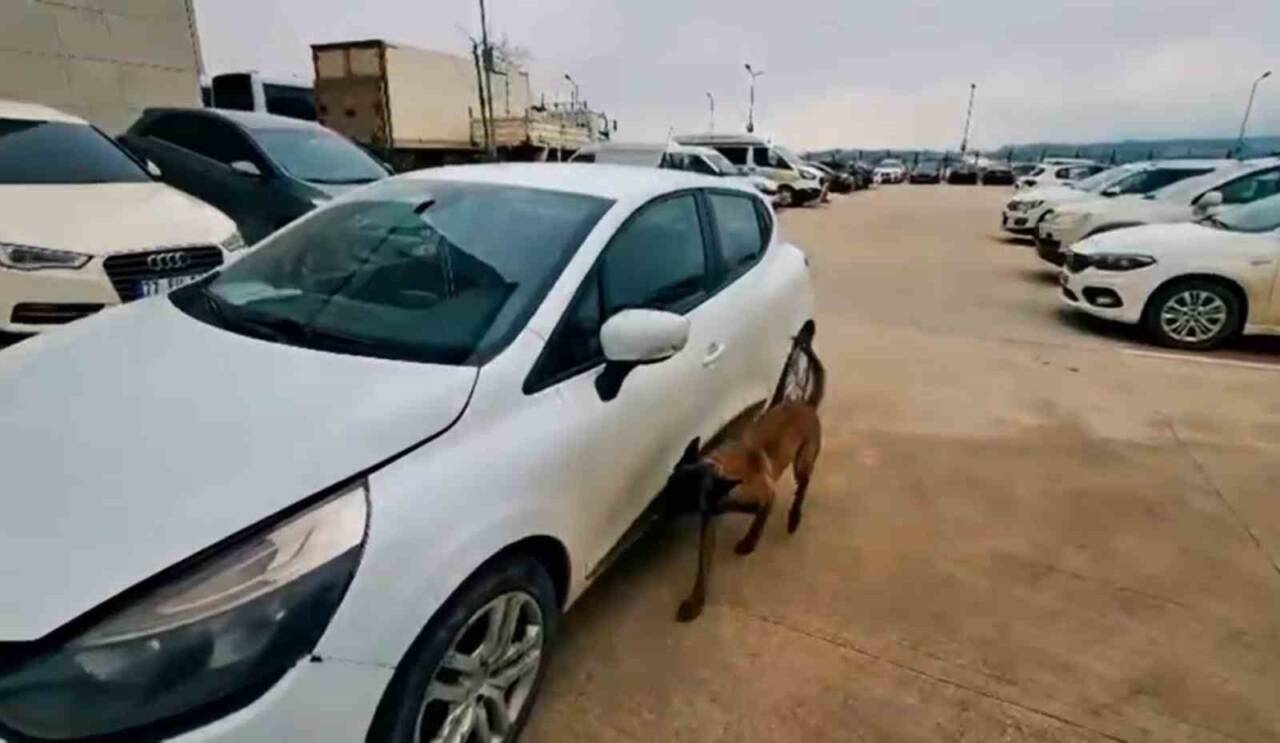 Yalova’da düzenlenen uyuşturucu operasyonunda, E.Ç. ve N.E. tutuklandı, diğer iki