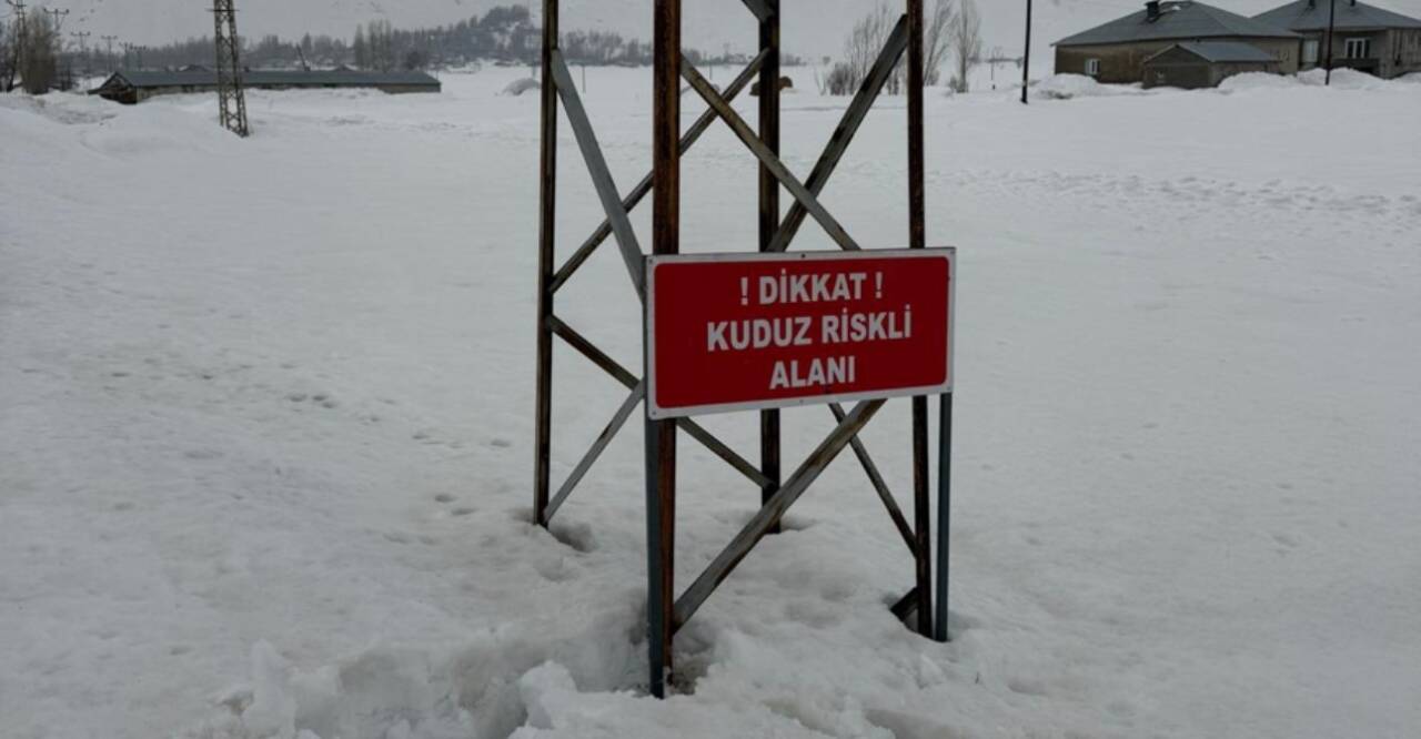 Hakkari'nin Yüksekova ilçesindeki Kadıköy köyünde bir eşekte kuduz vakası tespit