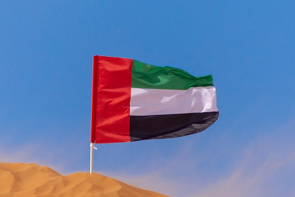 Birleşik Arap Emirlikleri Savunma Bakanlığı, İran'dan gelen insansız hava araçlarına