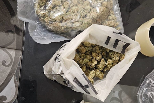 Bulgaristan İçişleri Bakanlığı operasyon detaylarını açıkladı: Uyuşturucu, kaçak odun, sahte