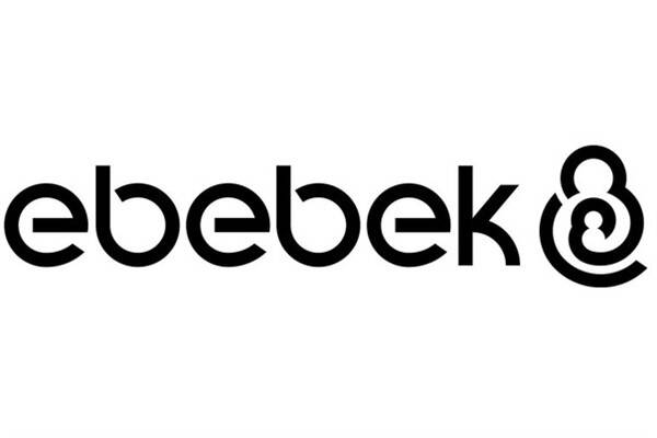 Şirket yönetimi, KAP'a yaptığı açıklamada, 2025 karının tablolardaki gibi dağıtılacağını