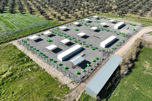 Edremit Belediyesi, sokak hayvanları için doğal yaşam alanı projesini tamamlayarak