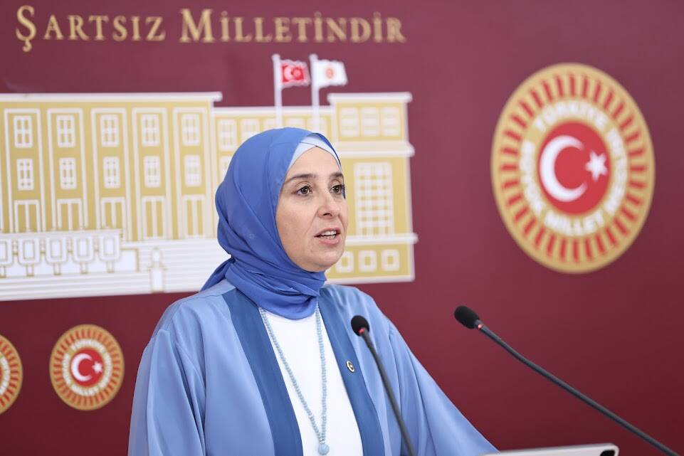 DEVA Partisi Genel Başkan Yardımcısı ve İstanbul Milletvekili Esen, elektrik