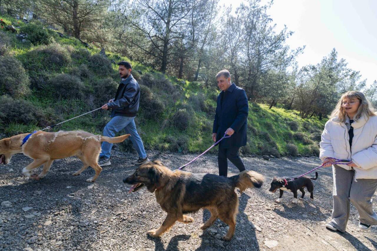 İzmir Büyükşehir Belediyesi'nin Veteriner İşleri Dairesi sahipsiz hayvanlar için koruma,