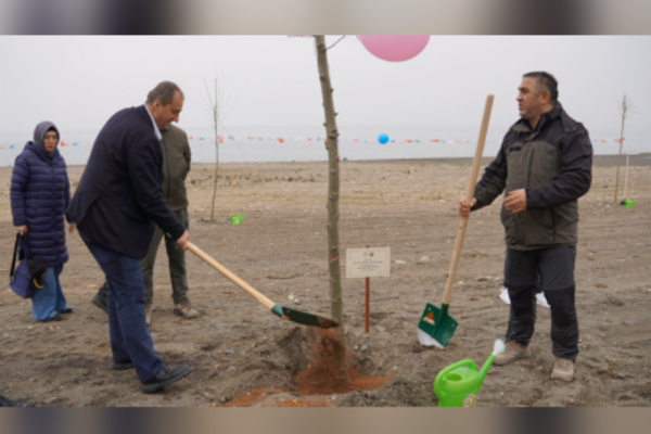 İznik'te düzenlenen "Türkiye’nin Gücü Orman" etkinliği, 700. Yıl anısına 200