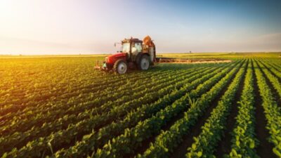 Türkiye Ürün İhtisas Borsası (TÜRİB), Elektronik Ürün Senedi (ELÜS) Piyasası’nda