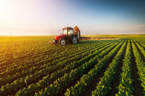 Türkiye Ürün İhtisas Borsası (TÜRİB), Elektronik Ürün Senedi (ELÜS) Piyasası’nda