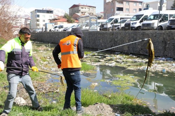 Van Büyükşehir Belediyesi, Van Gölü’nden tatlı sulara üremek için göç